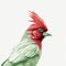 Hyper-realistic Minimalistic Cardinal Bird Illustration On White