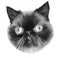 Hyper-realistic monochrome portrait of a black cat with tongue
