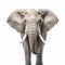 Hyper-realistic Nikon D850 Elephant: Uhd Image Contest Winner