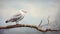 Hyper-realistic Oil Painting Of A Seagull On A White Branch