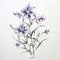 Hyper-realistic Orchid Drawing With Abundant Symbolism And Minimalistic Style