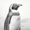 Hyper-realistic Penguin Pencil Drawing With Depth-defying Murals