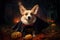 Hyper realistic photo of charming Pembroke Welsh Corgi dog in black Halloween bat costume, Jack-o'-Lantern ahead dog