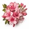 Hyper-realistic Pink Azalea Bouquet Illustration On White Background