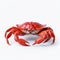 Hyper-realistic Red Crab: Minimal Retouching, Mote Kei, Uhd Image