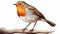 Hyper-realistic Robin Illustration Perched On Branch