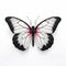 Hyper-realistic Sculpture Of Black And White Butterfly With Red Black Wings