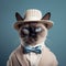 Hyper-realistic Siamese Cat Photo: Adorable Cat In Hat And Suit