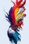 Hyper-Realistic Splash Art of Colorful Feather and Rooster\\\'s Head on White Background