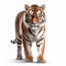 Hyper-realistic Tiger Walking In Front Of White Background