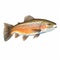 Hyper-realistic Trout Stock Photo With Detailed Penciling