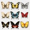 Hyper-realistic Vector Illustration Of Colorful Butterflies On Transparent Background