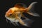 Hyper-Realistic Veil Tail Goldfish Swimming in Dark Waters. Perfect for Aquarium Websites and Blogs.