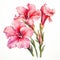 Hyper-realistic Watercolor Gladiolus Clipart With Pink Daisy Flower
