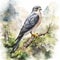 Hyper-realistic Watercolor Illustration Of Falcon Perched In Forest