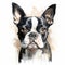 Hyper-realistic Watercolor Painting Of Boston Terrier Stock Photo