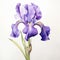 Hyper-realistic Watercolor Painting Of A Purple Iris