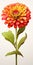 Hyper Realistic Zinnia With Stem: Vibrant Color Gradients On White Background