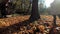 Hyperactive child girl running through autumn leaves around tree trunk