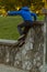 A hyperactive kid is jumping off a high wall as he is running away.