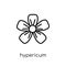 Hypericum icon. Trendy modern flat linear vector Hypericum icon