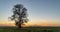 Hyperlapse around a lonely tree in a field during sunset, beautiful time lapse, autumn landscape