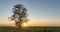 Hyperlapse around a lonely tree in a field during sunset, beautiful time lapse, autumn landscape