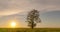 Hyperlapse around a lonely tree in a field during sunset, beautiful time lapse, autumn landscape
