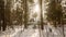 Hyperlapse of a wooden hut in the forest on a beautiful snowy day. A lone hut in the middle of a forest that can