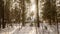 Hyperlapse of a wooden hut in the forest on a beautiful snowy day. A lone hut in the middle of a forest that can