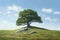 Hyperrealism, Minimalism, Cinematic, grassy landscape with a stunning lone oak tree