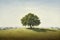 Hyperrealism, Minimalism, Cinematic, grassy landscape with a stunning lone oak tree