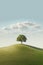 Hyperrealism, Minimalism, Cinematic, grassy landscape with a stunning lone oak tree