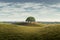Hyperrealism, Minimalism, Cinematic, grassy landscape with a stunning lone oak tree