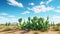 Hyperrealistic 3d Cactus Plants In A Vibrant Desert Landscape