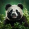 Hyperrealistic 3d Panda Render With Vibrant Green Background