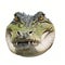 Hyperrealistic Alligator Head Art On White Background