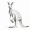 Hyperrealistic Australian Kangaroo Drawing With Bold Defined Lines