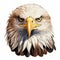 Hyperrealistic Bald Eagle Head Illustration On White Background