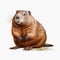 Hyperrealistic Beaver Illustration: Charming Prairiecore Character In Vibrant Colors