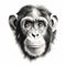 Hyperrealistic Black And White Chimpanzee Drawing In 8k Resolution