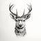 Hyperrealistic Black And White Deer Head Tattoo Drawing