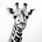 Hyperrealistic Black And White Giraffe Drawing In 8k Resolution