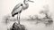 Hyperrealistic Black And White Heron Drawing On River Rim