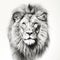 Hyperrealistic Black And White Lion Head Drawing For Sale