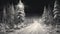 Hyperrealistic Black And White Winter Forest Road Pencil Sketch