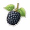 Hyperrealistic Blackberry Sticker With Sharp Inking And Scientific Illustration Style
