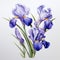 Hyperrealistic Blue And Purple Iris Flower Illustration In White