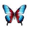 Hyperrealistic Blue And Red Butterfly Illustration On White Background