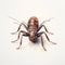 Hyperrealistic Brown Cricket Painting With Explosive Pigmentation